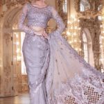 Most recent Pakistani Designer Saree Designs 2019 For Women