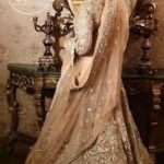 Antique Brass Embellished Bridal Maxi Net Dupatta